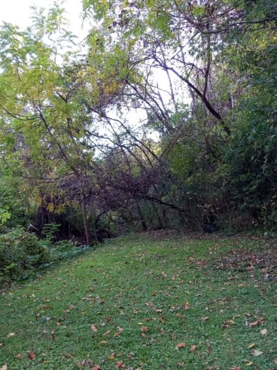 M.C. Martin Park - Danville, VA