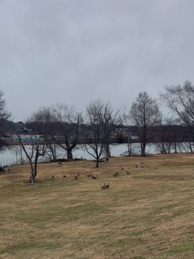 M.C. Martin Park - Danville, VA