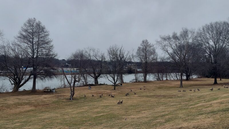 M.C. Martin Park - Danville, VA
