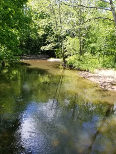 North Country Trail Cannelton, Pa - Darlington, PA