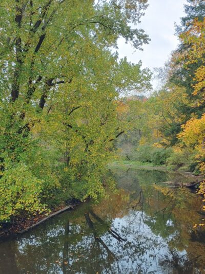 North Country Trail Cannelton, Pa - Darlington, PA