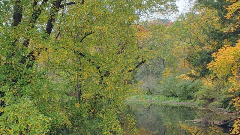 North Country Trail Cannelton, Pa - Darlington, PA