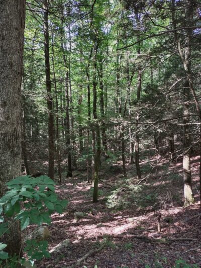 Ellendale Trailhead for Rattling Run Trail - Dauphin, PA