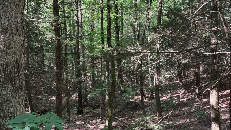 Ellendale Trailhead for Rattling Run Trail - Dauphin, PA
