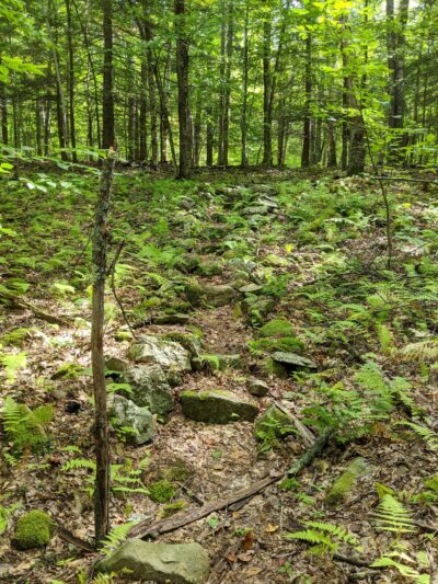 Robert V. Riddell State Park - Davenport, NY