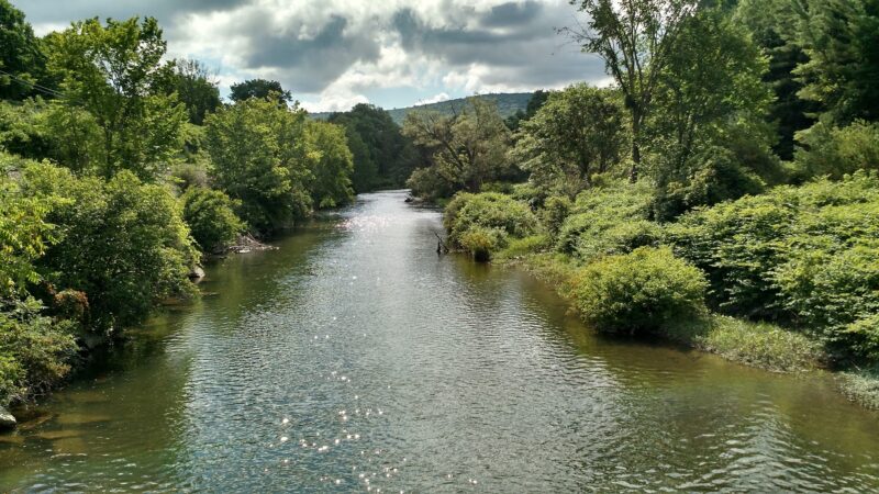 Robert V. Riddell State Park - Davenport, NY