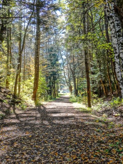 Robert V. Riddell State Park - Davenport, NY