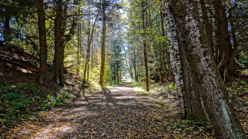 Robert V. Riddell State Park - Davenport, NY