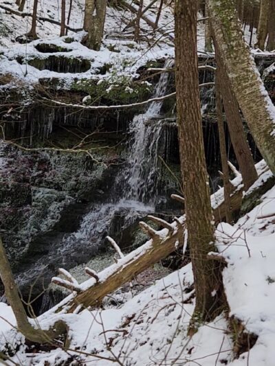 Robert V. Riddell State Park - Davenport, NY