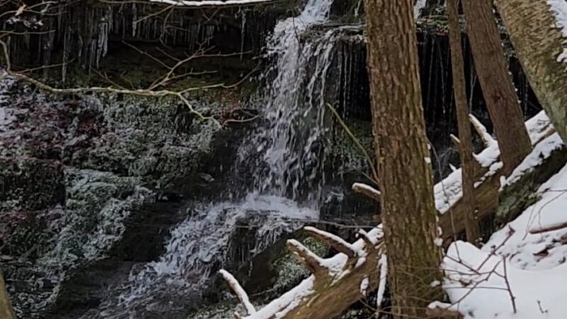 Robert V. Riddell State Park - Davenport, NY