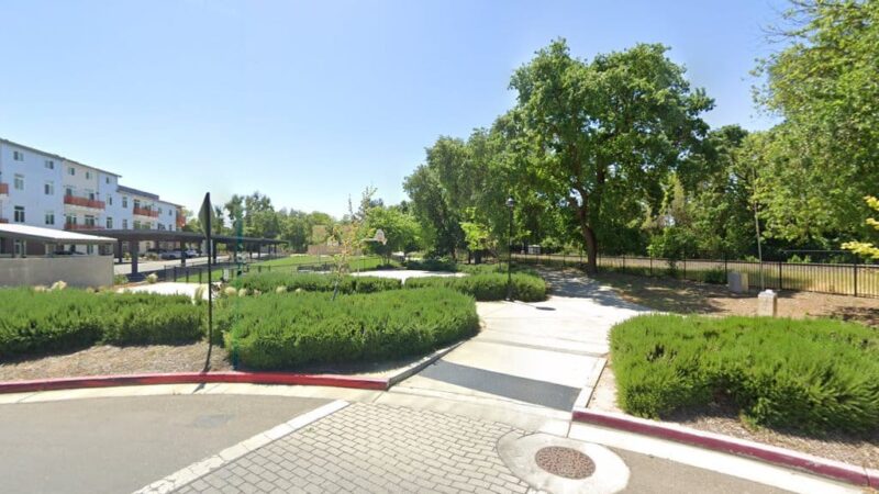 Cannery Dog Park - Davis, CA