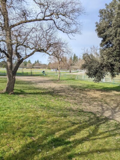 Davis Community Park Fenced Dog Area - Davis, CA