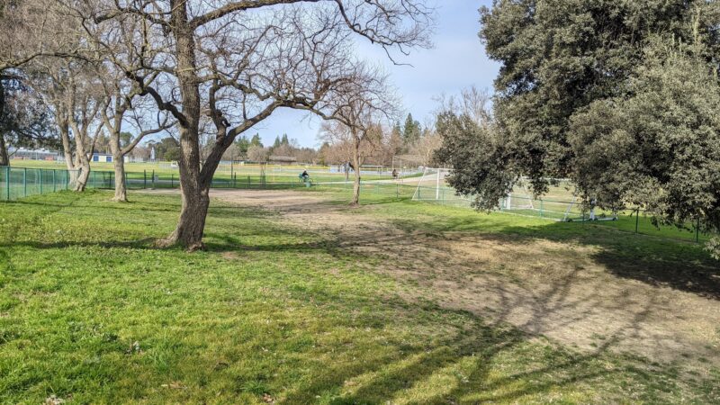 Davis Community Park Fenced Dog Area - Davis, CA