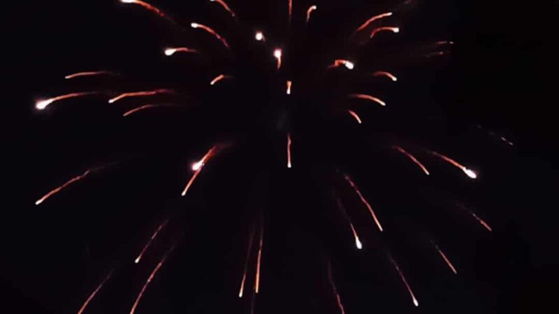 Davis Community Park Fenced Dog Area - Davis, CA