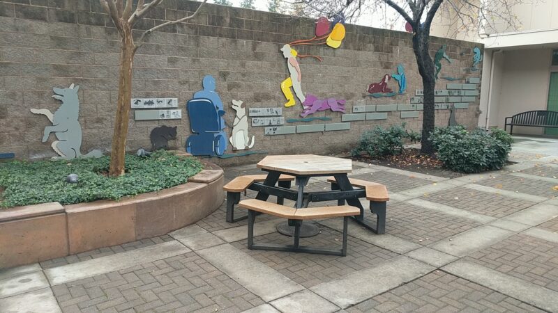 Edna's Playground - Davis, CA