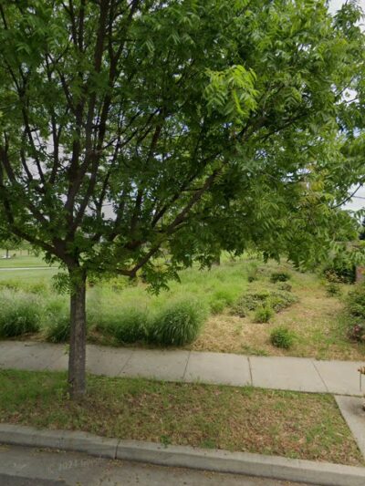Off-Leash Dog Exercise Area - Davis, CA