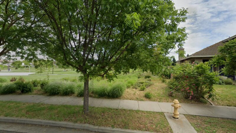 Off-Leash Dog Exercise Area - Davis, CA