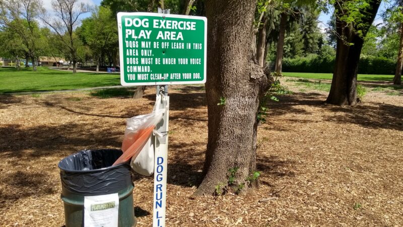 Offleash Dog Area - Davis, CA