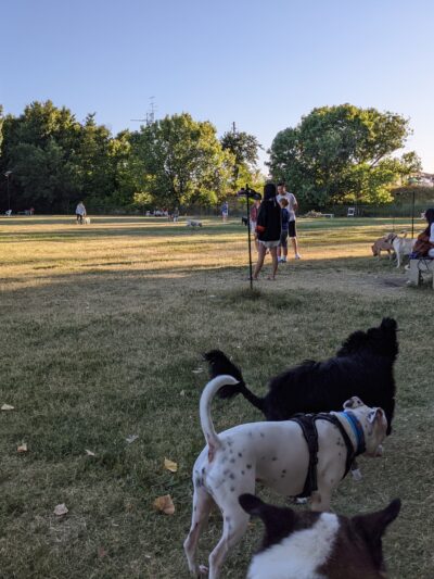 Toad Hollow Dog Park - Davis, CA
