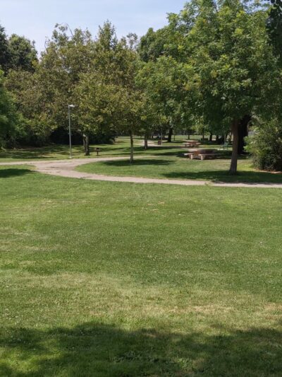 Walnut Park Unfenced Offleash Dog Area - Davis, CA