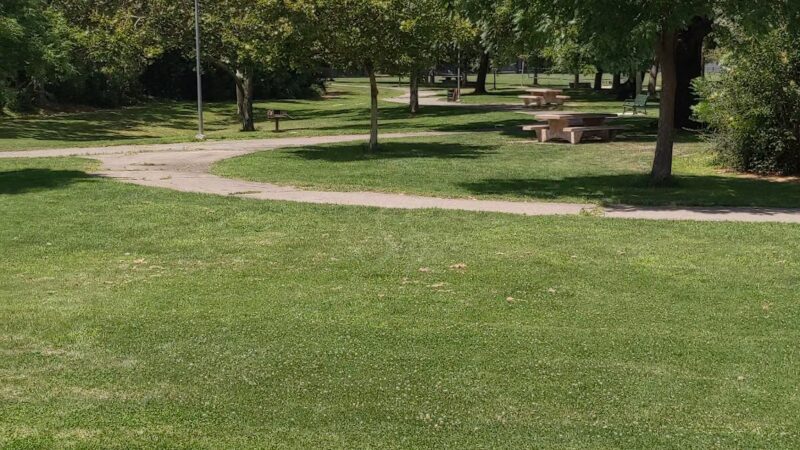 Walnut Park Unfenced Offleash Dog Area - Davis, CA