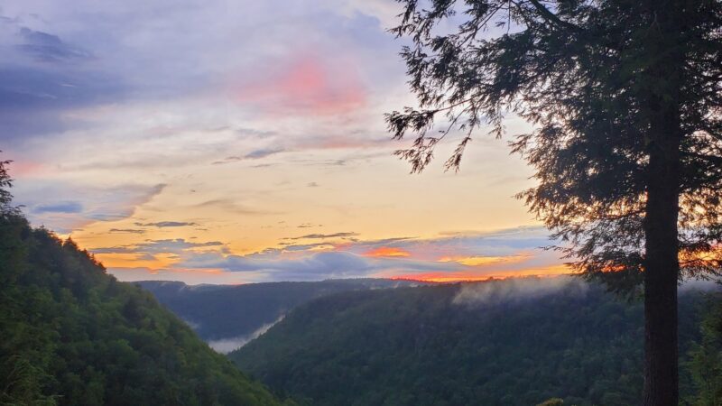Blackwater Lodge - Davis, WV