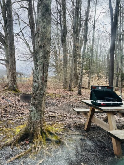 Canaan Valley Resort Campground - Davis, WV