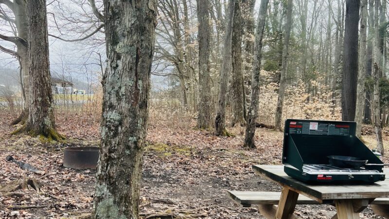 Canaan Valley Resort Campground - Davis, WV