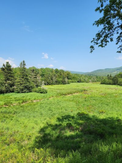 Canaan Valley Resort Campground - Davis, WV
