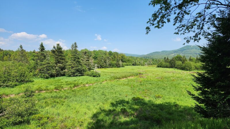 Canaan Valley Resort Campground - Davis, WV