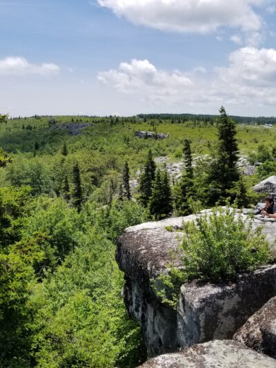 Dolly Sods - Davis, WV