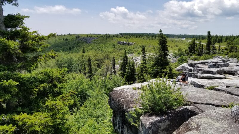 Dolly Sods - Davis, WV