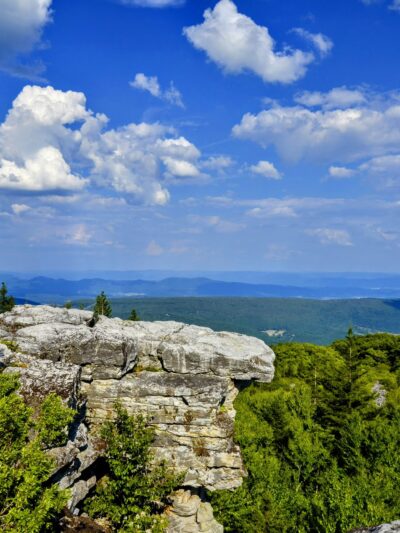 Dolly Sods - Davis, WV