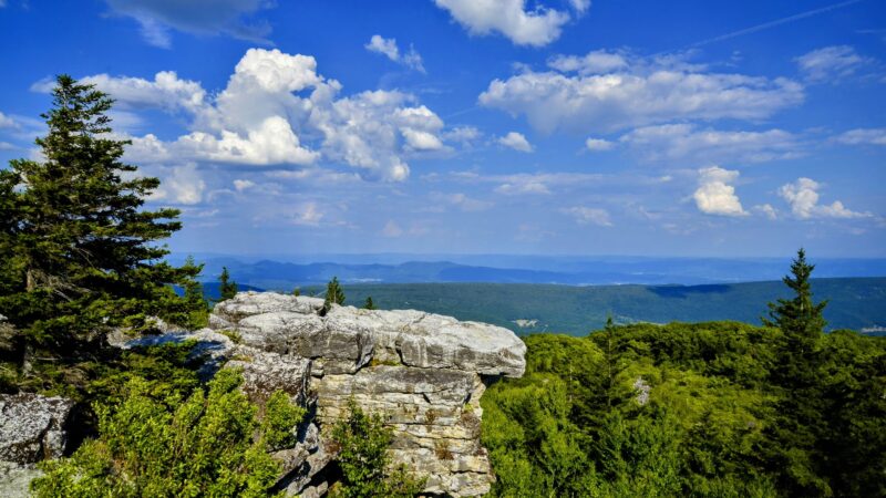 Dolly Sods - Davis, WV