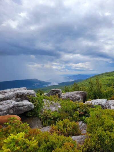 Dolly Sods - Davis, WV