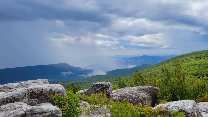 Dolly Sods - Davis, WV
