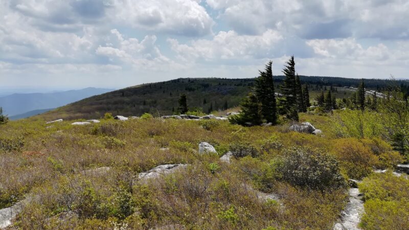 Dolly Sods - Davis, WV