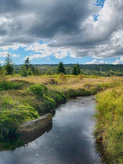 Dolly Sods Wilderness - Davis, WV