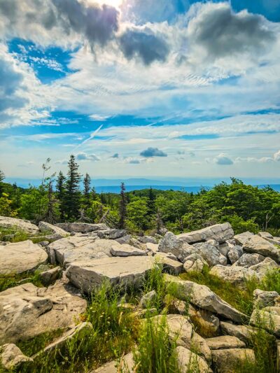Dolly Sods Wilderness - Davis, WV