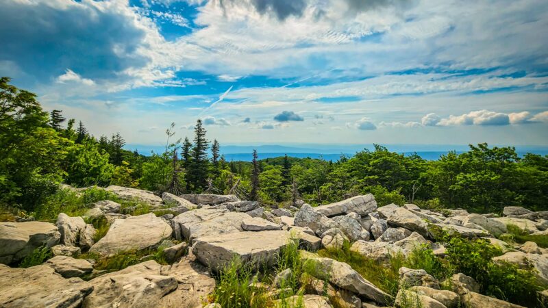 Dolly Sods Wilderness - Davis, WV