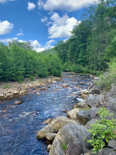 Dolly Sods Wilderness - Davis, WV
