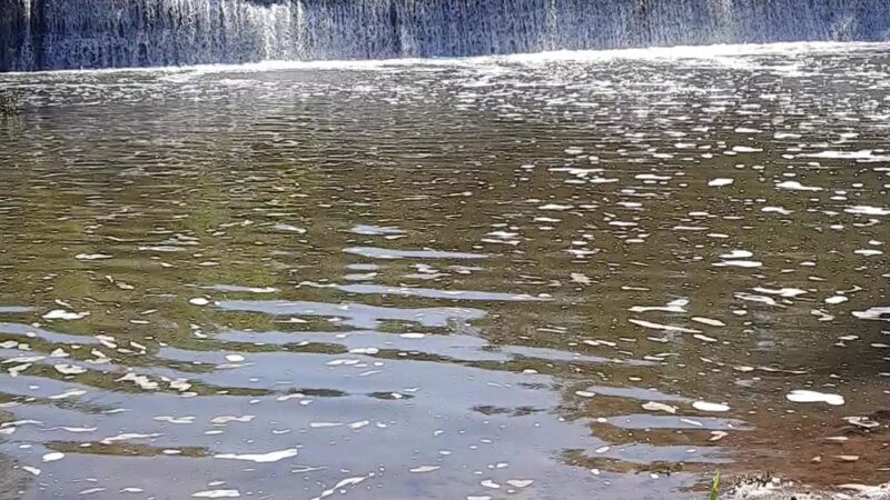 Dawson Springs City park - Dawson Springs, KY