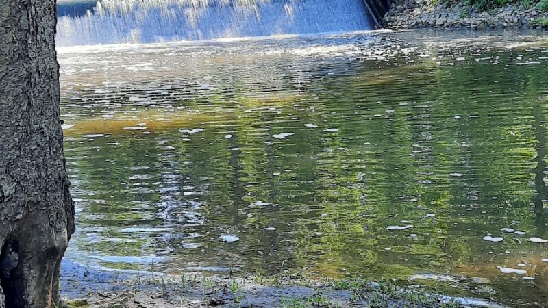 Dawson Springs City park - Dawson Springs, KY