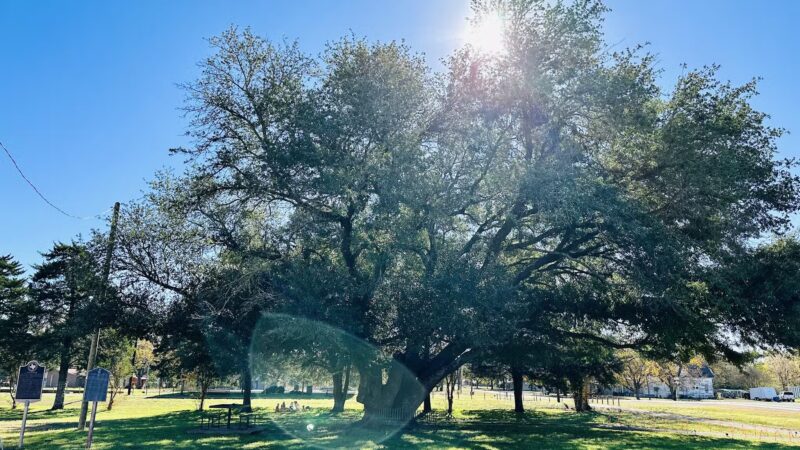 Dawson City Park - Dawson, TX