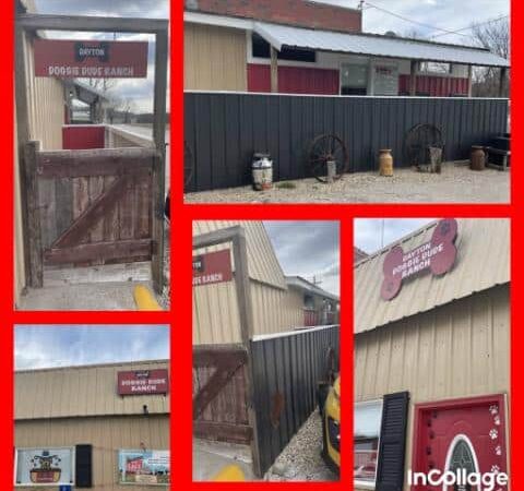 Dayton Doggie Dude Ranch - Dayton, IA