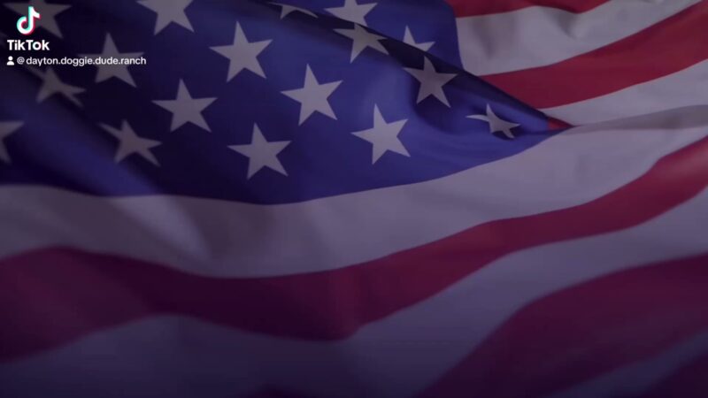 Dayton Doggie Dude Ranch - Dayton, IA