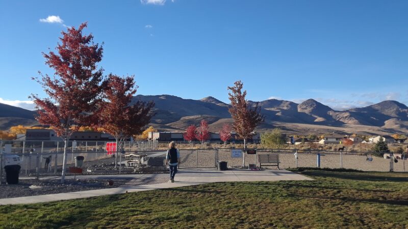 Dayton Valley Dog Park - Dayton, NV