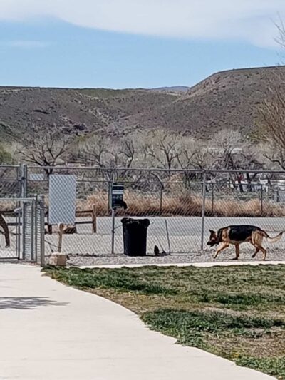Dayton Valley Dog Park - Dayton, NV