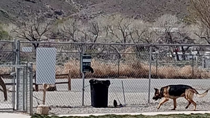 Dayton Valley Dog Park - Dayton, NV