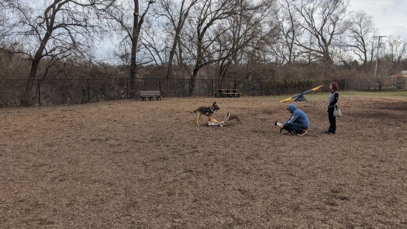 Creager Field Dog Park - Dayton, OH